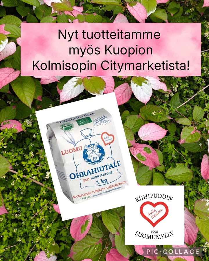 Riihipuoti Oy