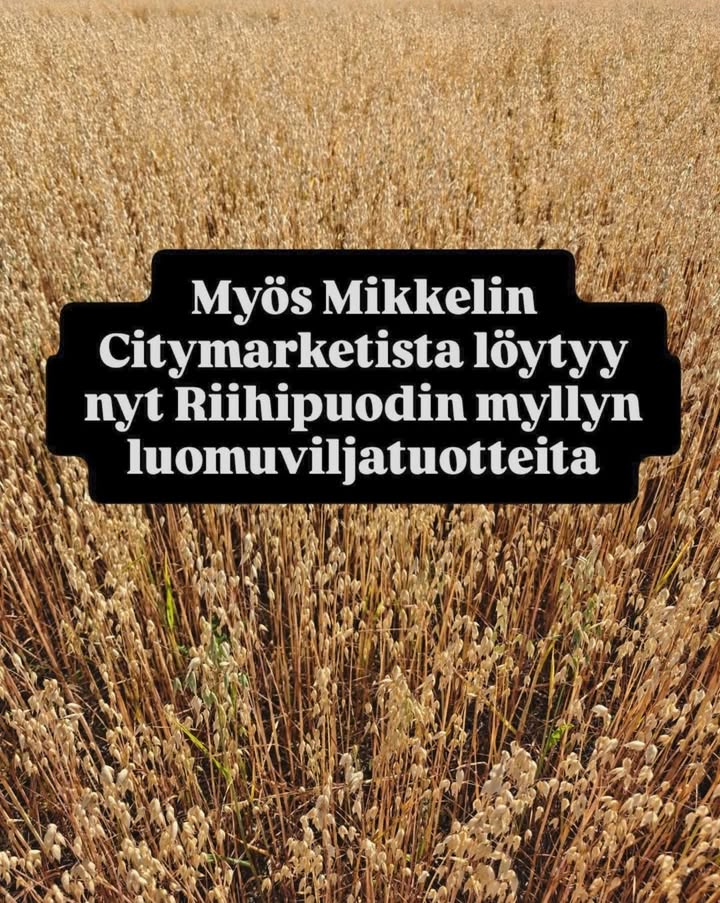 Riihipuoti Oy